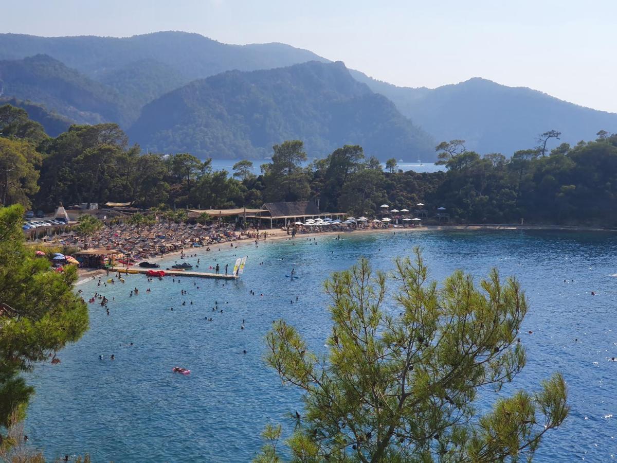 Stunning In With Seaview And Pool Appartement